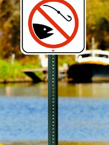 Compliance Signs