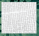Mesh Texture