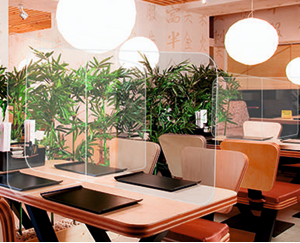 Restaurant Tabletop Desk Divider